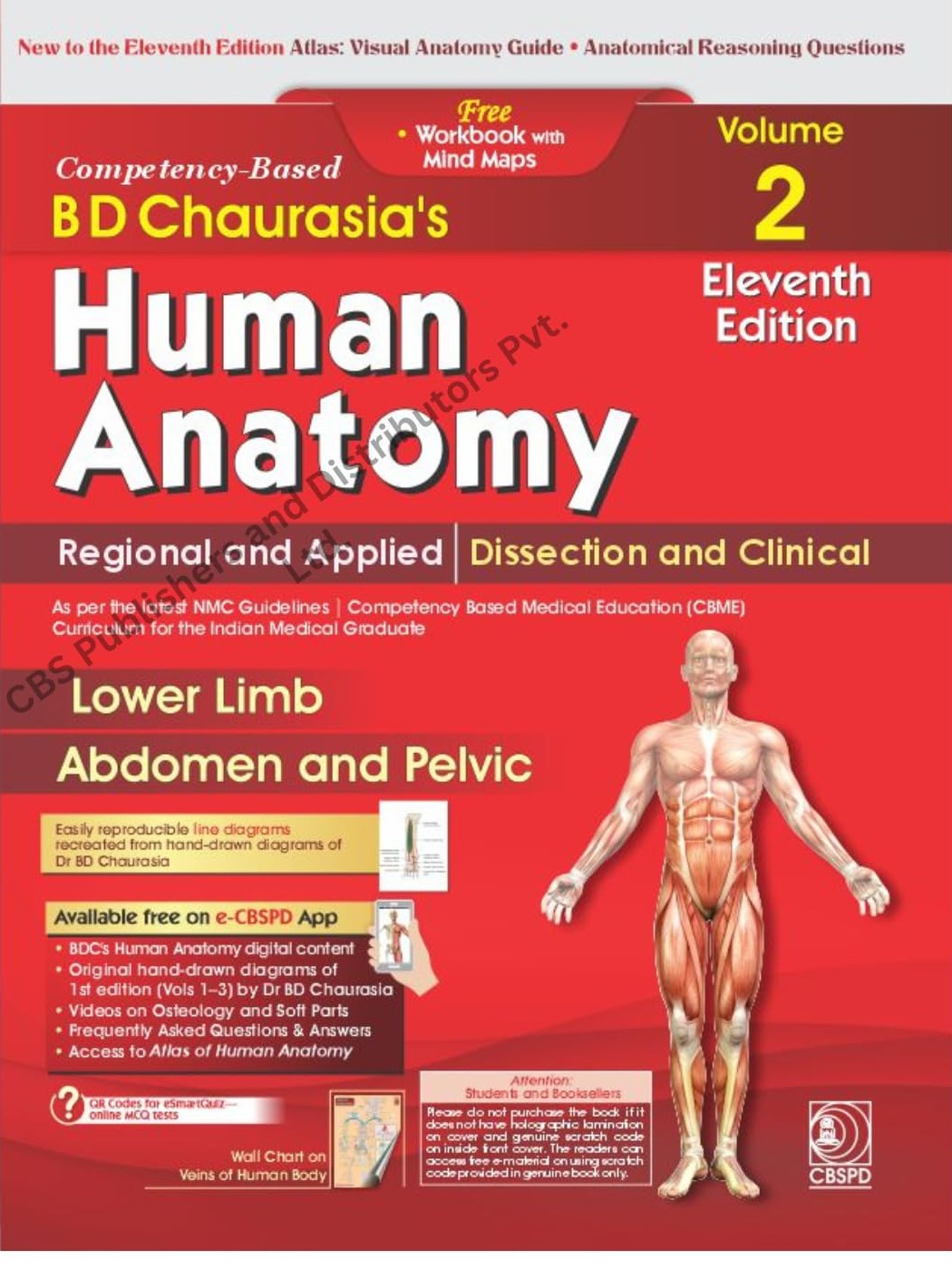 BD Chaurasia's Human Anatomy | 11th Edition | Volume 2 By BD Chaurasia's , Krishna Garg , Yogesh Sontakke